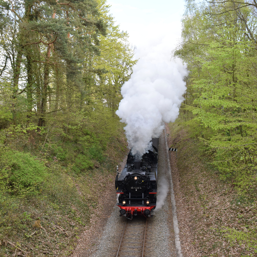 Dampfzug auf Usedom  -3