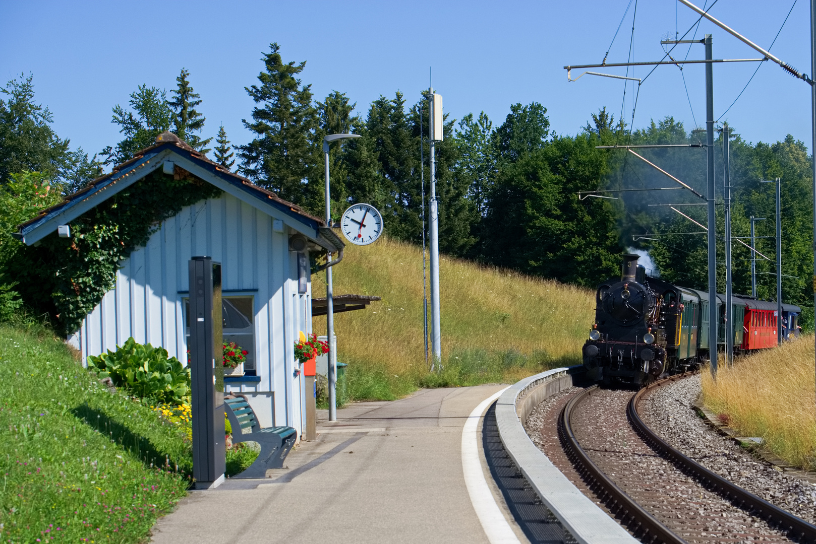 Dampfzug Durchfahrt Unteroppikon_5