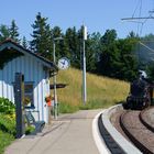 Dampfzug Durchfahrt Unteroppikon_5