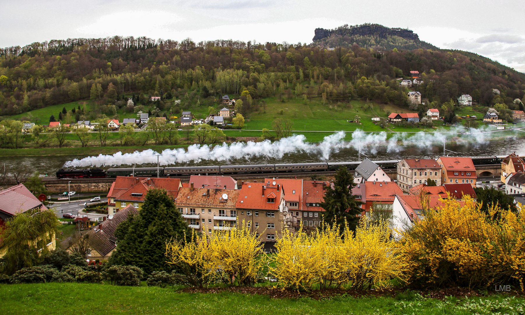 Dampfzug im Elbtal