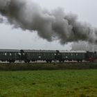 Dampfzug im Nebel