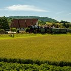 Dampfzug im Wieslauftal