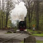 Dampfzug Richtung Steinerne Renne (1)