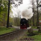 Dampfzug Richtung Steinerne Renne (2)