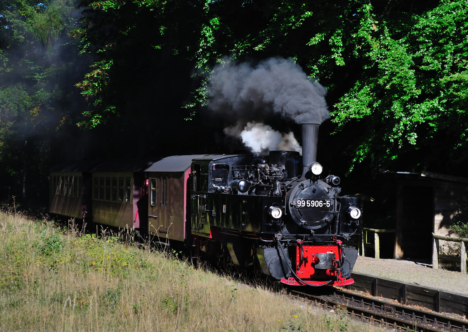 Dampfzug Selketalbahn (2), Oktober 2013