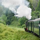 Dampfzugfahrt von Treignes nach Mariembourg- CFV3V (B)