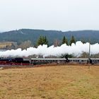 Dampfzugfahrten im Winter 3 Seenbahn Part VI