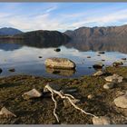 Dampier bay Lake Wanaka 10