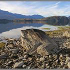 Dampier bay lake Wanaka 5