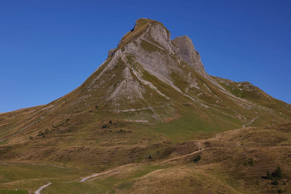 Damülser Mittagspitze - 2095m