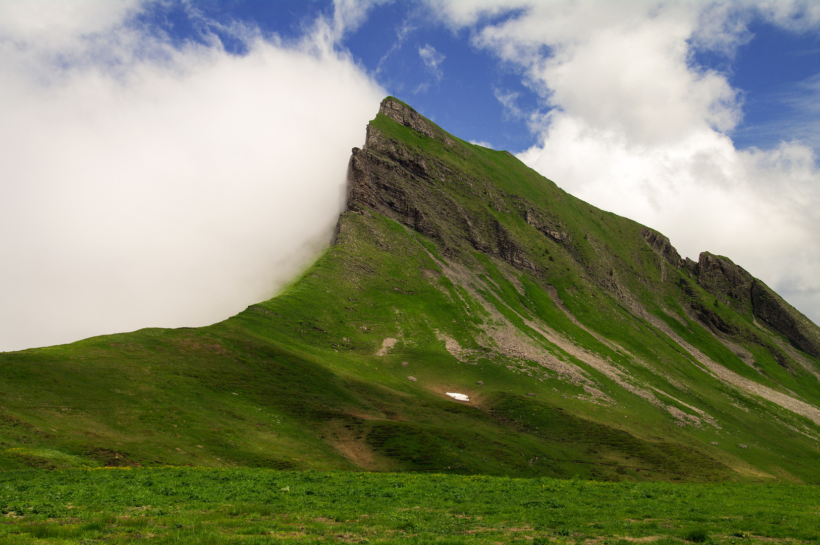 Damülser Mittagsspitze