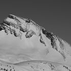 Damülser Mittagsspitze gesehen vom Portla Horn