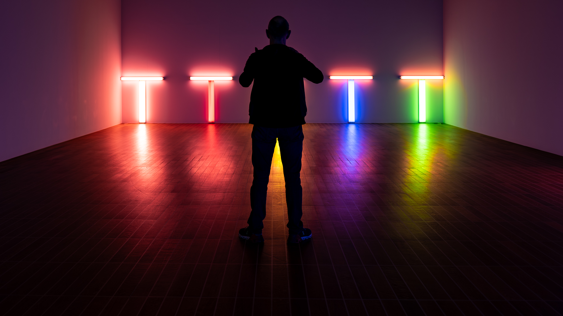 Dan Flavin (3)