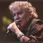 Dan McCafferty