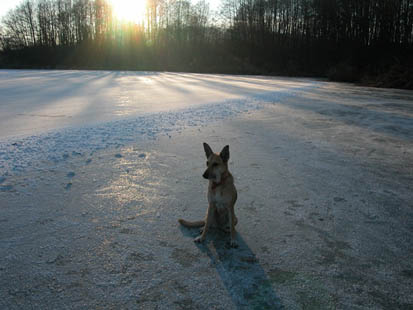 Dana im Sonnenlich