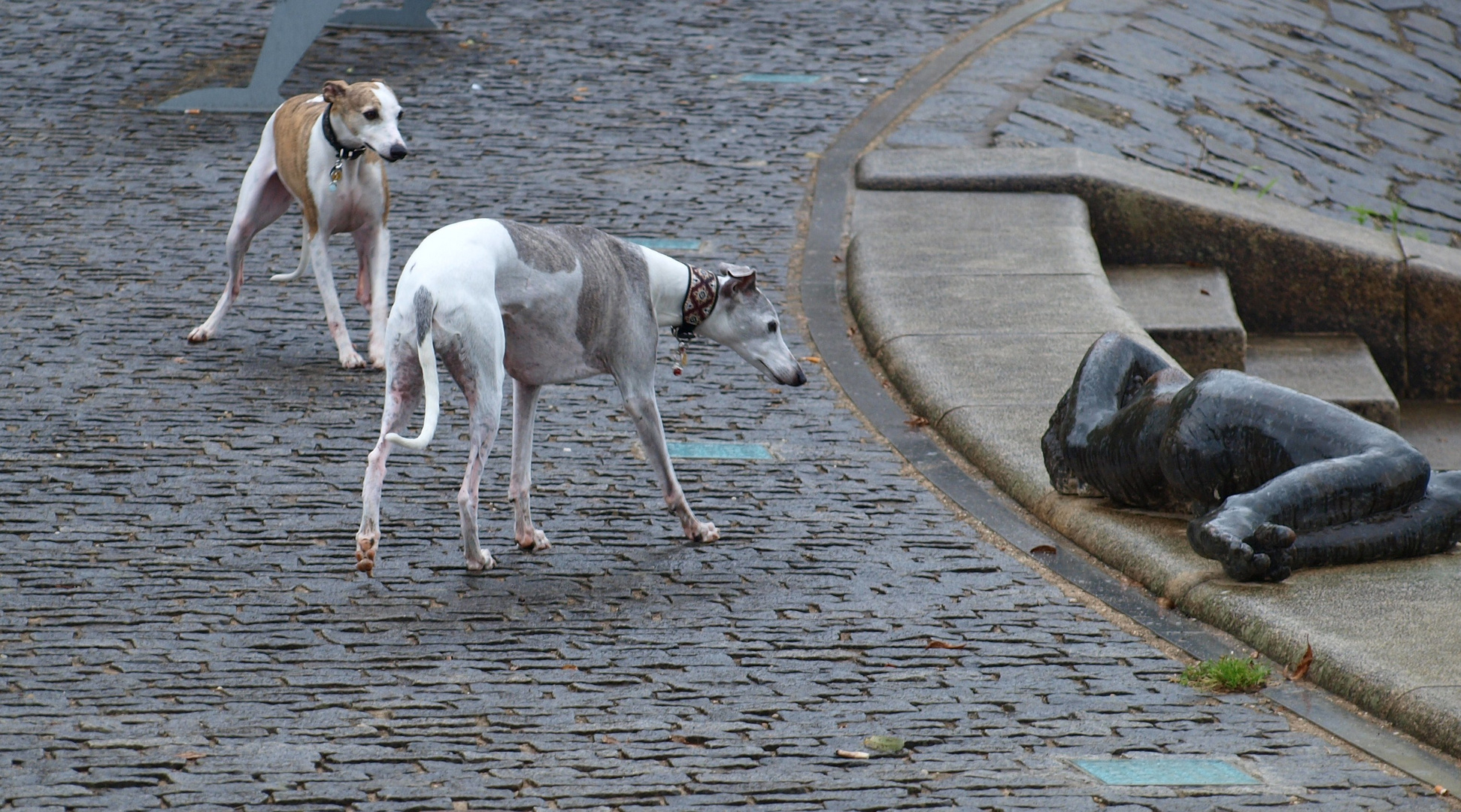 Dana: Tut die was? - Nerys: Nee, die is tot ...