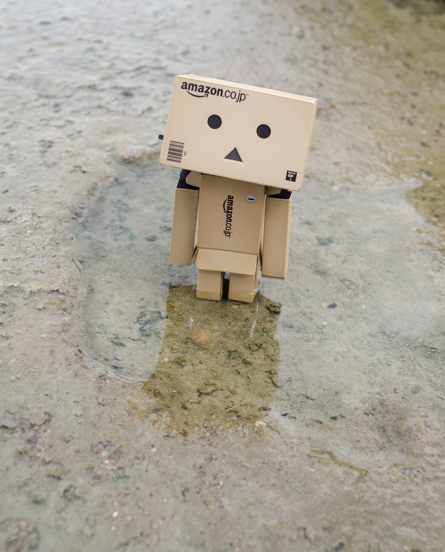 Danbo