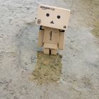 Danbo