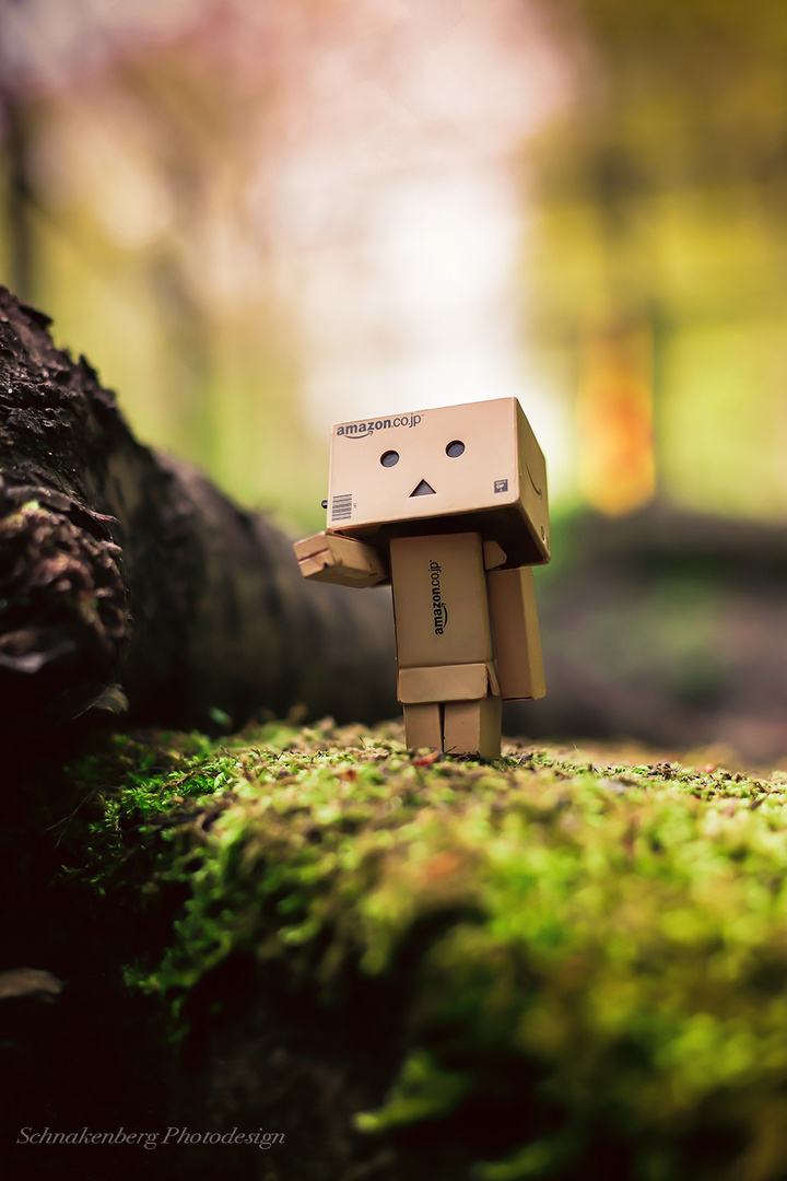 Danbo