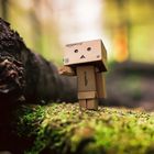 Danbo