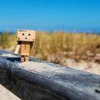 Danbo