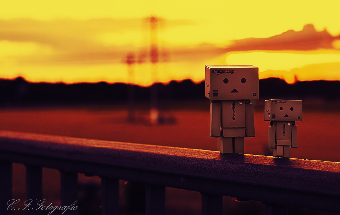 Danbo Abendspaziergang