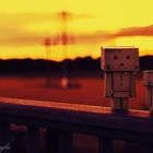 Danbo Abendspaziergang