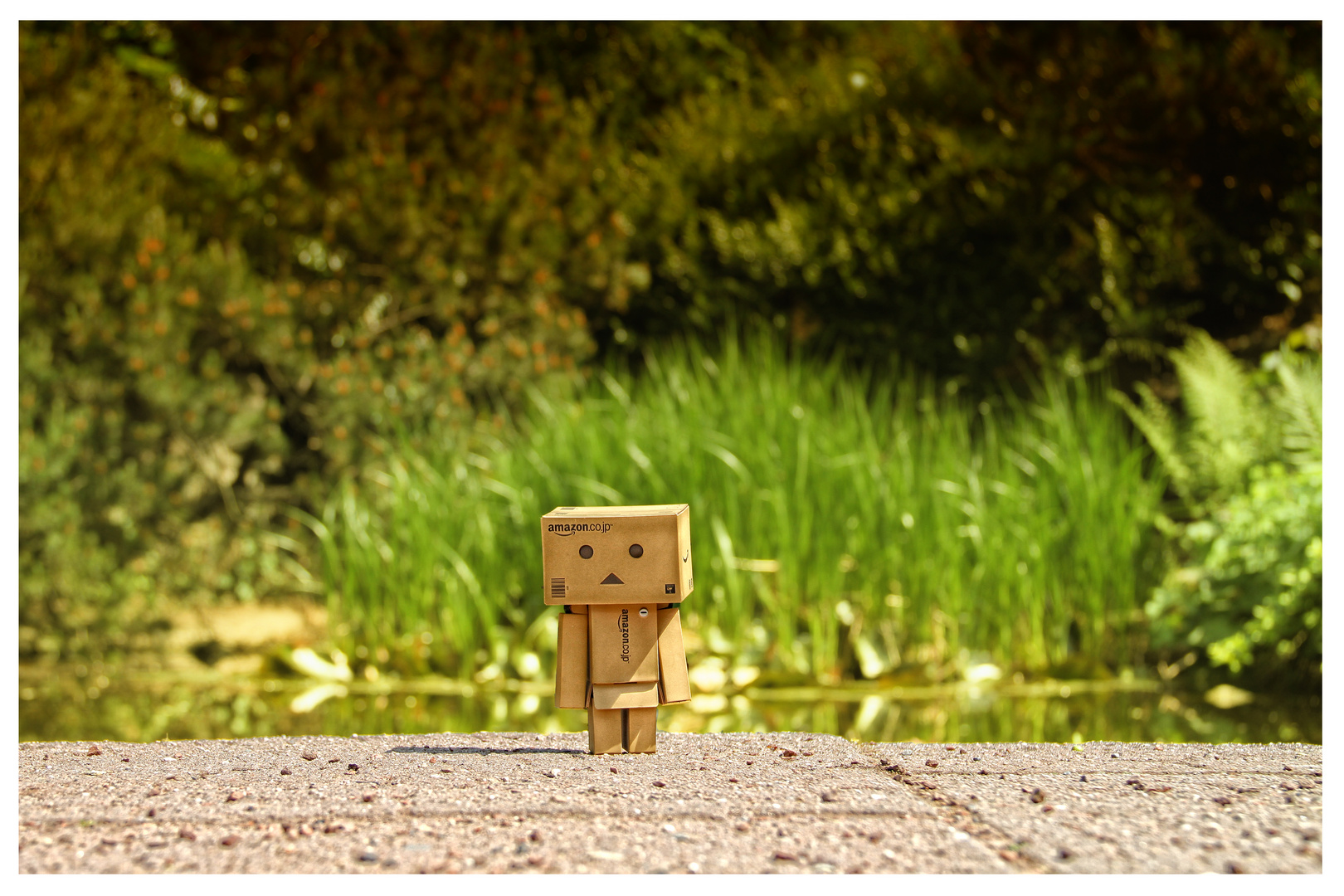 Danbo am See