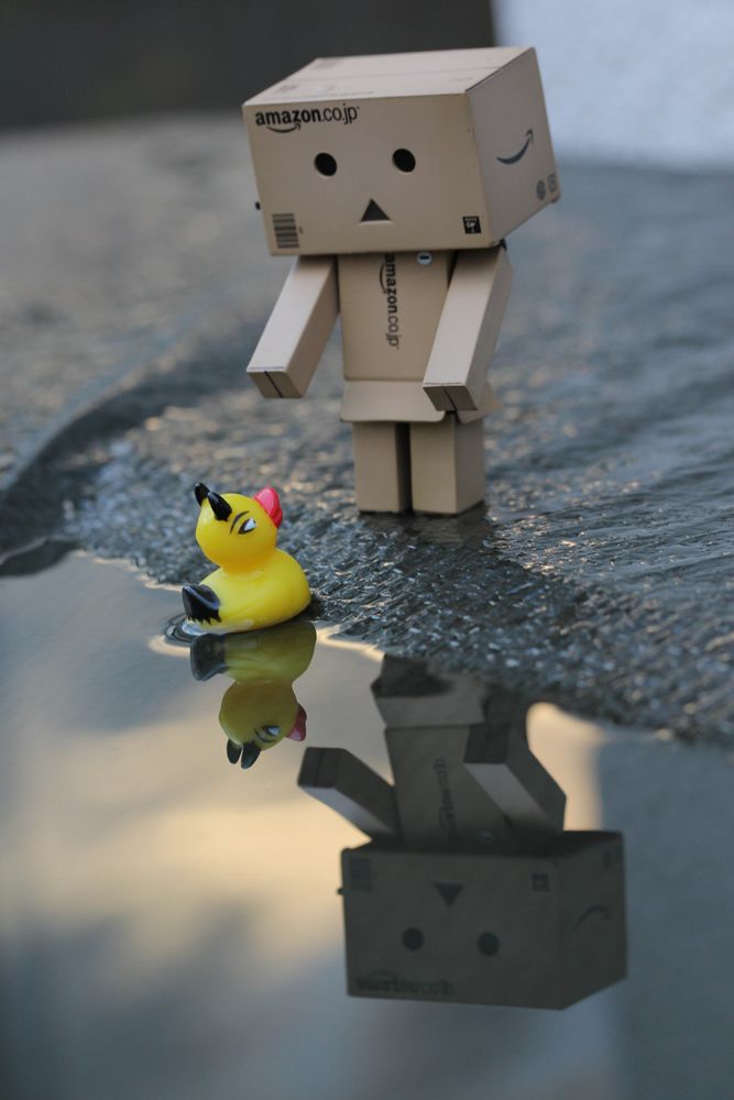 Danbo am See