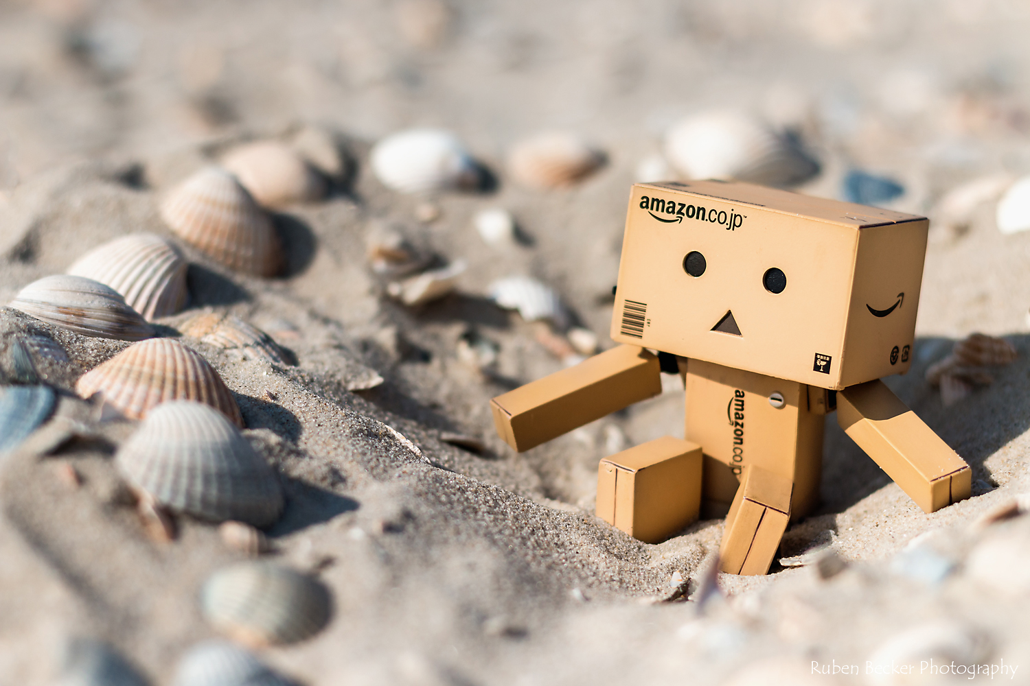 Danbo am Strand