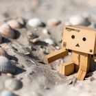 Danbo am Strand