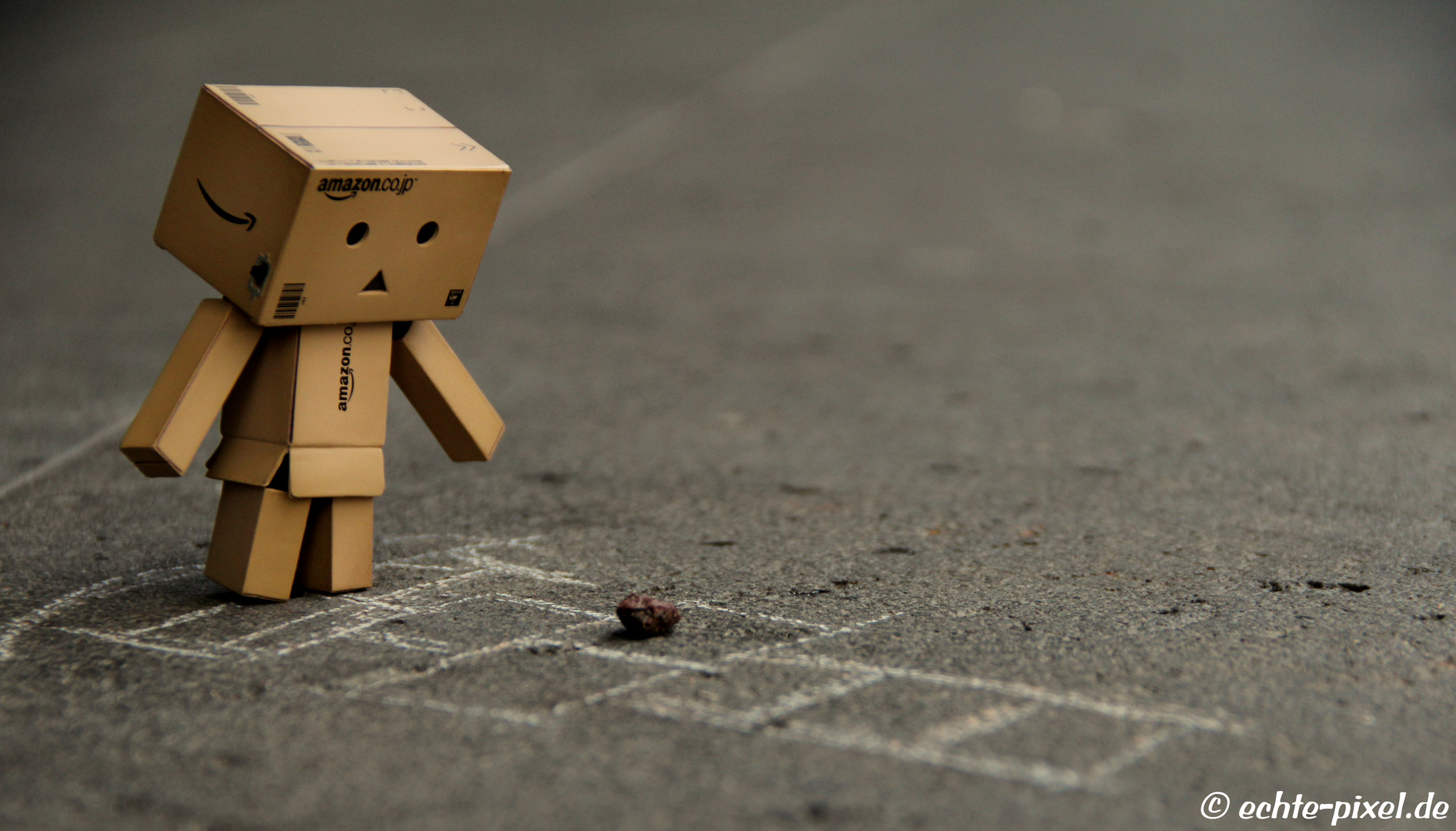 Danbo are Playing