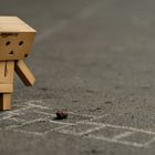 Danbo are Playing