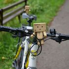 Danbo auf Phototour