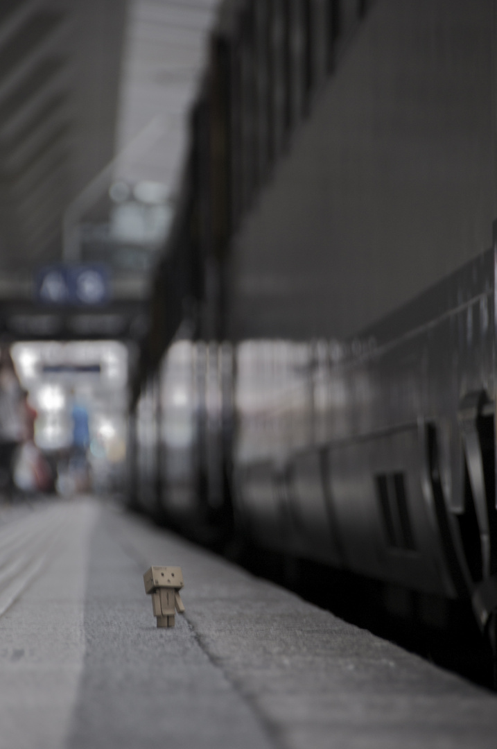 Danbo auf Reisen...