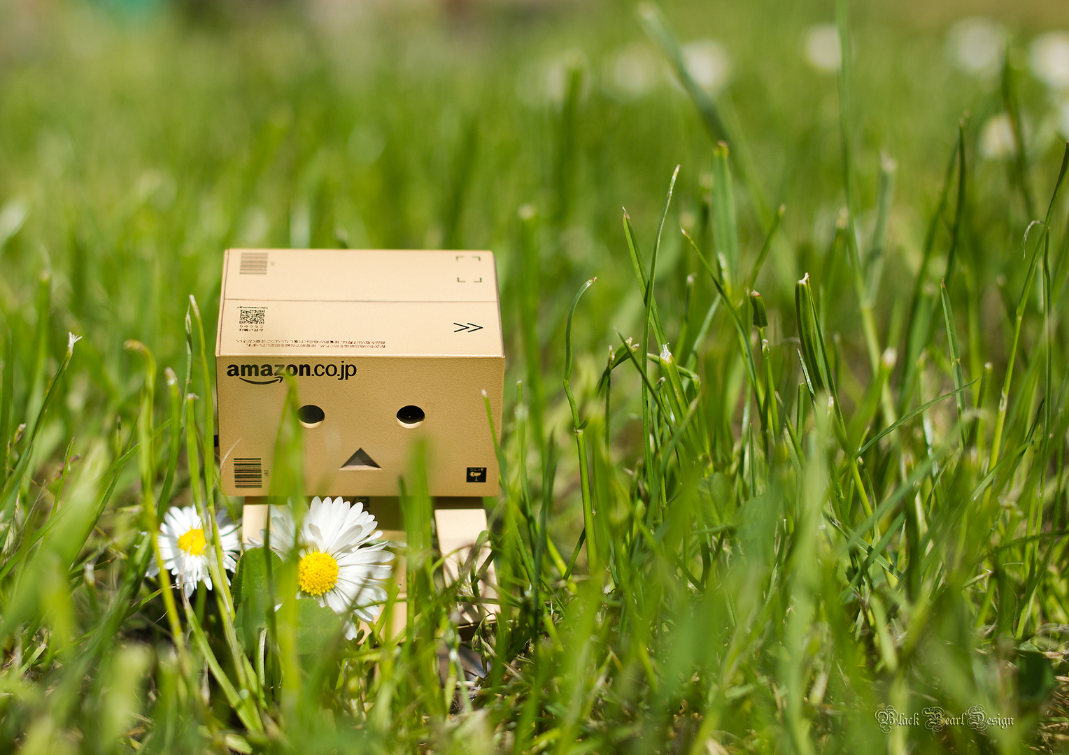 Danbo auf Tour