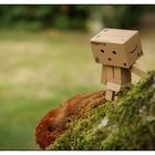 Danbo auf Tour