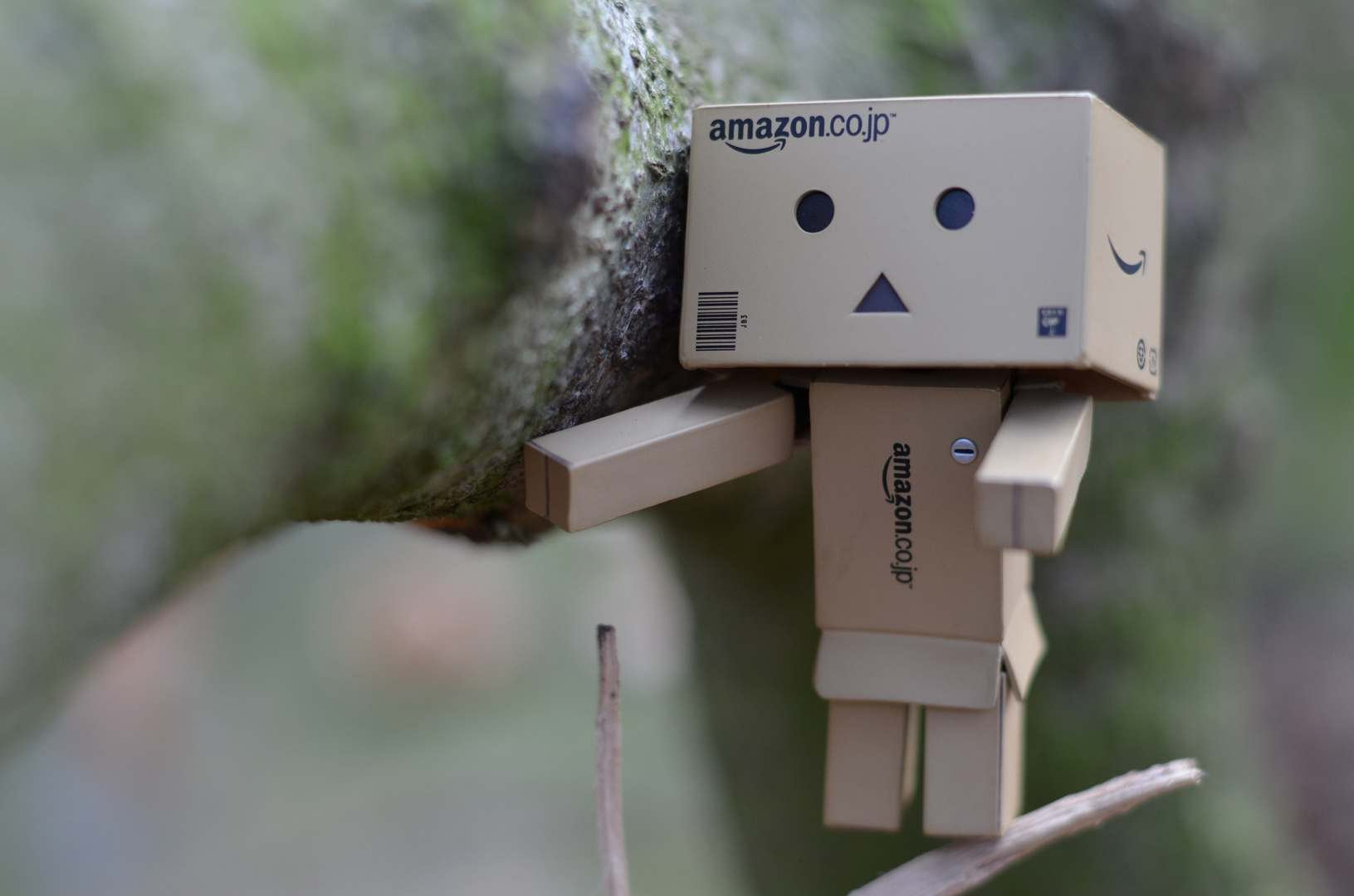 Danbo balanciert