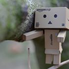 Danbo balanciert