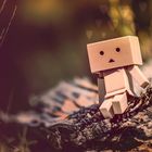 Danbo