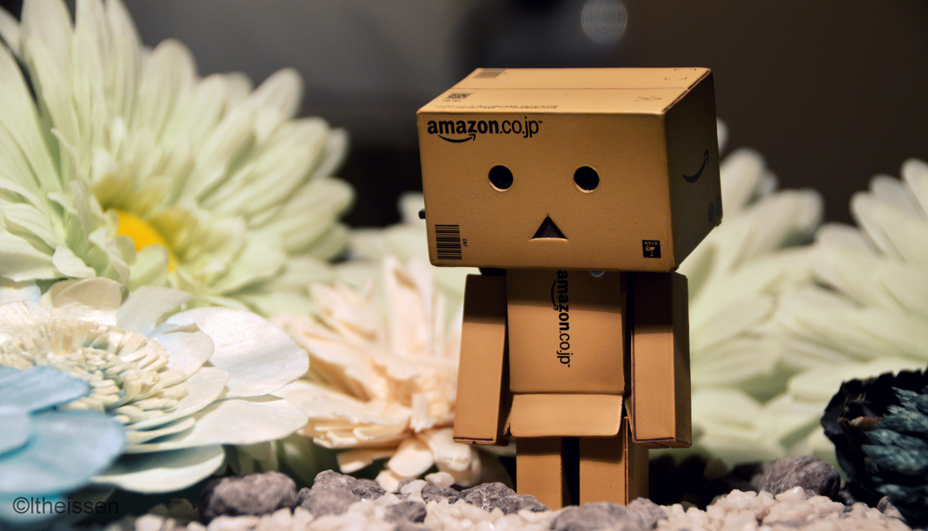 Danbo