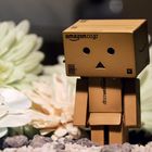 Danbo