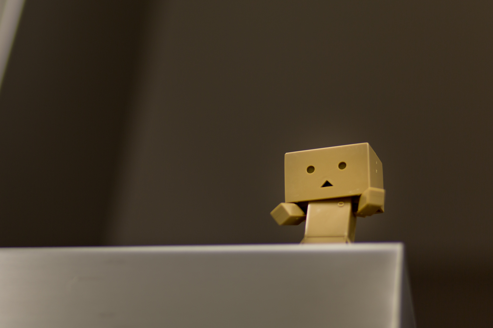 Danbo - die Dunstabzugshaube kann ich auch noch nutzen ...