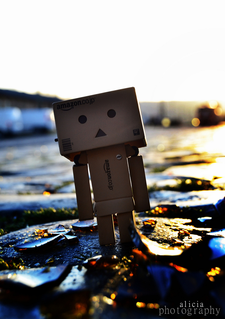 Danbo.