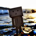 Danbo.