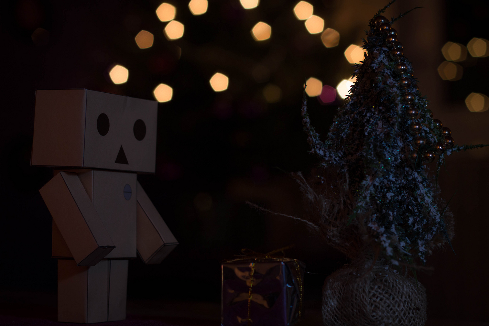 Danbo feiert alleine Weihnachten