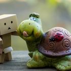 Danbo & Freund