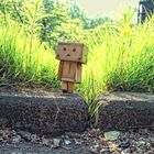 danbo :) frisch angekommen. hoffe es gefällt ;)