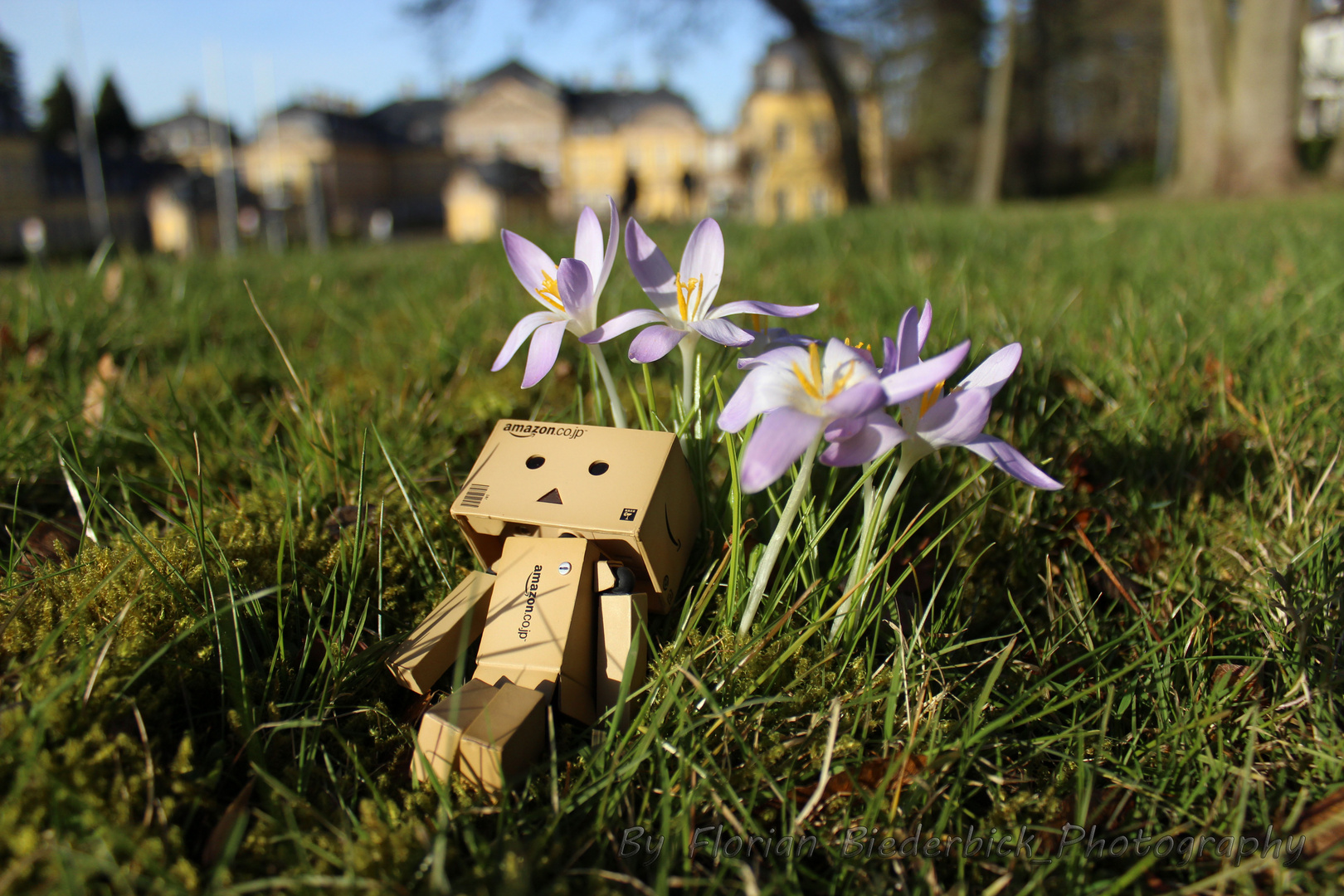 Danbo genießt die Sonne