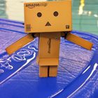 Danbo goes swimming